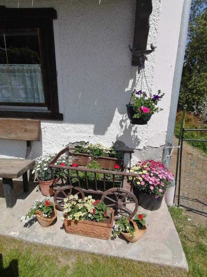 Ferienwohnung Riedbach Innsbruck Ngoại thất bức ảnh